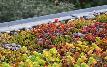 the cost of Broadmayne green roof installation