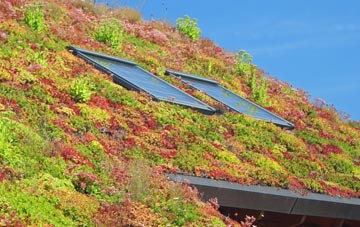 Broadmayne living roof systems