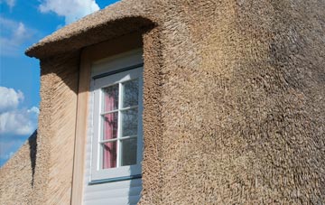 Broadmayne thatch roof disadvantages